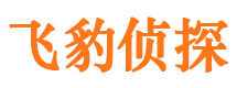 平武外遇出轨调查取证